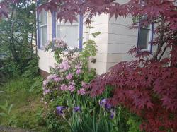 146 Beech St Holyoke, MA 01040