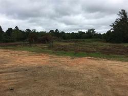 0 Highway 80 Highway Forest, MS 39074