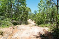 Clyde Evans Rd Road Newton, MS 39345
