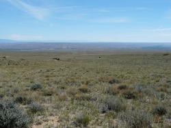 Tract 27 Ruby Creek Road Belfry, MT 59008