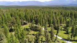 Lot 2 Meadow Springs Subdivision Fortine, MT 59918