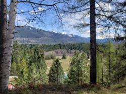 4340 Lake Creek Road Troy, MT 59935