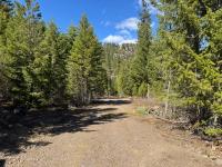 949 Verde Creek Road Superior, MT 59872