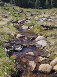 7524 Lower Telegraph Creek Road Elliston, MT 59728