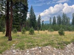 119 Mountain Home Lane De Borgia, MT 59830