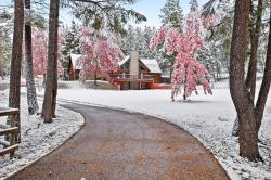 945 Truman Creek Road Kila, MT 59920