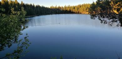 1368 Emerald Lake Loop Seeley Lake, MT 59868