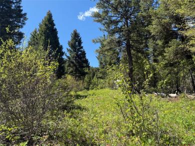 NHN Camas Springs Road Potomac, MT 59823