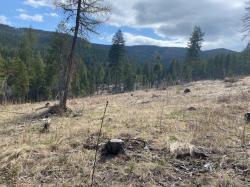 1040 Spring Hill Road Kila, MT 59920