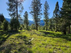 202 Packer Gulch Road Drummond, MT 59832