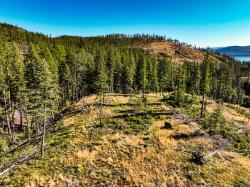 Nhn Griffin Creek Road Marion, MT 59925