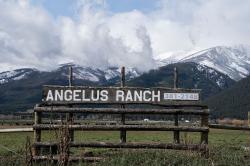 237 Schearbrook Lane Stevensville, MT 59870