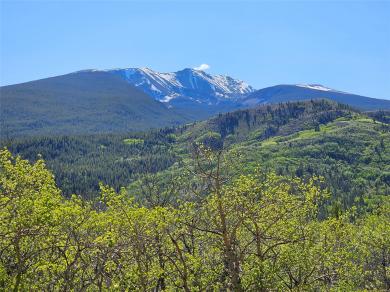NHN Alpha Lode & Alpha Fraction Lode, Alpha Trail Anaconda, MT 59711