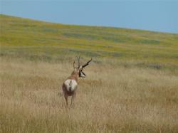 TBD Wilder Trail Lewistown, MT 59457