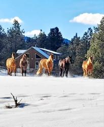 5 Alpine Valley Lane Clancy, MT 59634