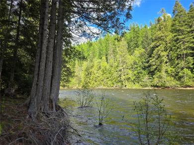 401 Western Larch Lane Troy, MT 59935