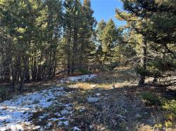 TBD Arrowood Estates Lane Raynesford, MT 59469