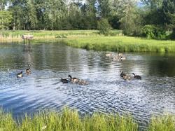 2739 Alpenglow Road Stevensville, MT 59870
