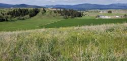 138 Grassy Loop Eureka, MT 59917