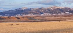 tbd Trent Drive Dillon, MT 59725