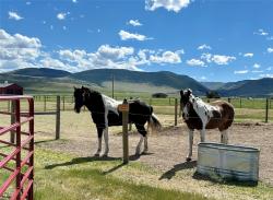 172 Hayfield Loop Trail Ennis, MT 59729