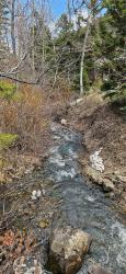 11169 Stemple Pass Road Lincoln, MT 59639