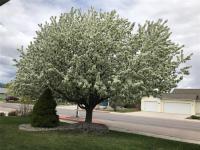 4891 Christian Drive Missoula, MT 59803