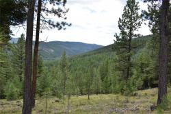 NHN Wild Bill Road Kila, MT 59920