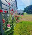 821 Carter Street Deer Lodge, MT 59722