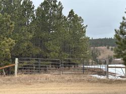 TBD Forest Grove Road Lewistown, MT 59457