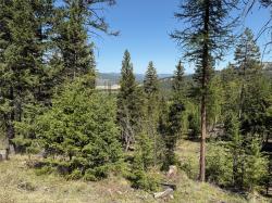 nhn Whitetail Ridge Road Kila, MT 59920