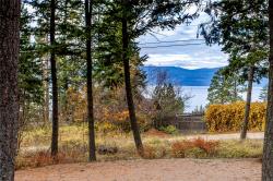 1163 Middle Pierce Lane Bigfork, MT 59911