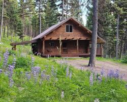 1250 Bitterroot Drive Seeley Lake, MT 59868