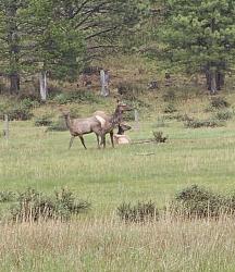 3224 79 Trail Road Roy, MT 59471