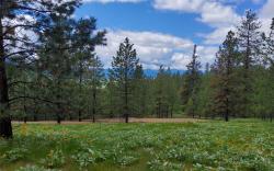 16441 Circle View Drive Frenchtown, MT 59834