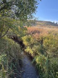 45 Mountainview Trail White Sulphur Springs, MT 59645