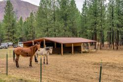 847 Plateau Road Alberton, MT 59820