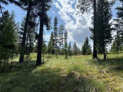 1148 Double Arrow Road Seeley Lake, MT 59868