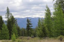 Lot 1A Meadow Springs Fortine, MT 59918