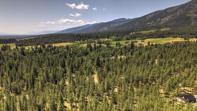 NHN Holloway Lane Florence, MT 59833