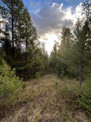 Lot 10 Black Pine Meadows Subdivision Philipsburg, MT 59858