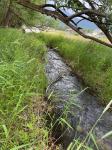 NHN Mystic River Road Stevensville, MT 59870
