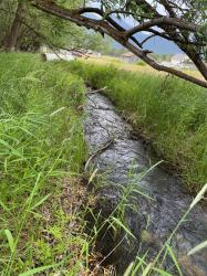 NHN Mystic River Road Stevensville, MT 59870