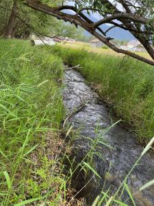 NHN Mystic River Road Stevensville, MT 59870