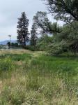 NHN Mystic River Road Stevensville, MT 59870