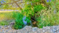 NHN Mystic River Road Stevensville, MT 59870