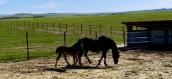 00 34th Street E Havre, MT 59501