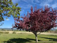 444 Windwalker Trail Stevensville, MT 59870