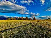 444 Windwalker Trail Stevensville, MT 59870