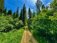 17 Twenty Peak Gulch Lane Trout Creek, MT 59874